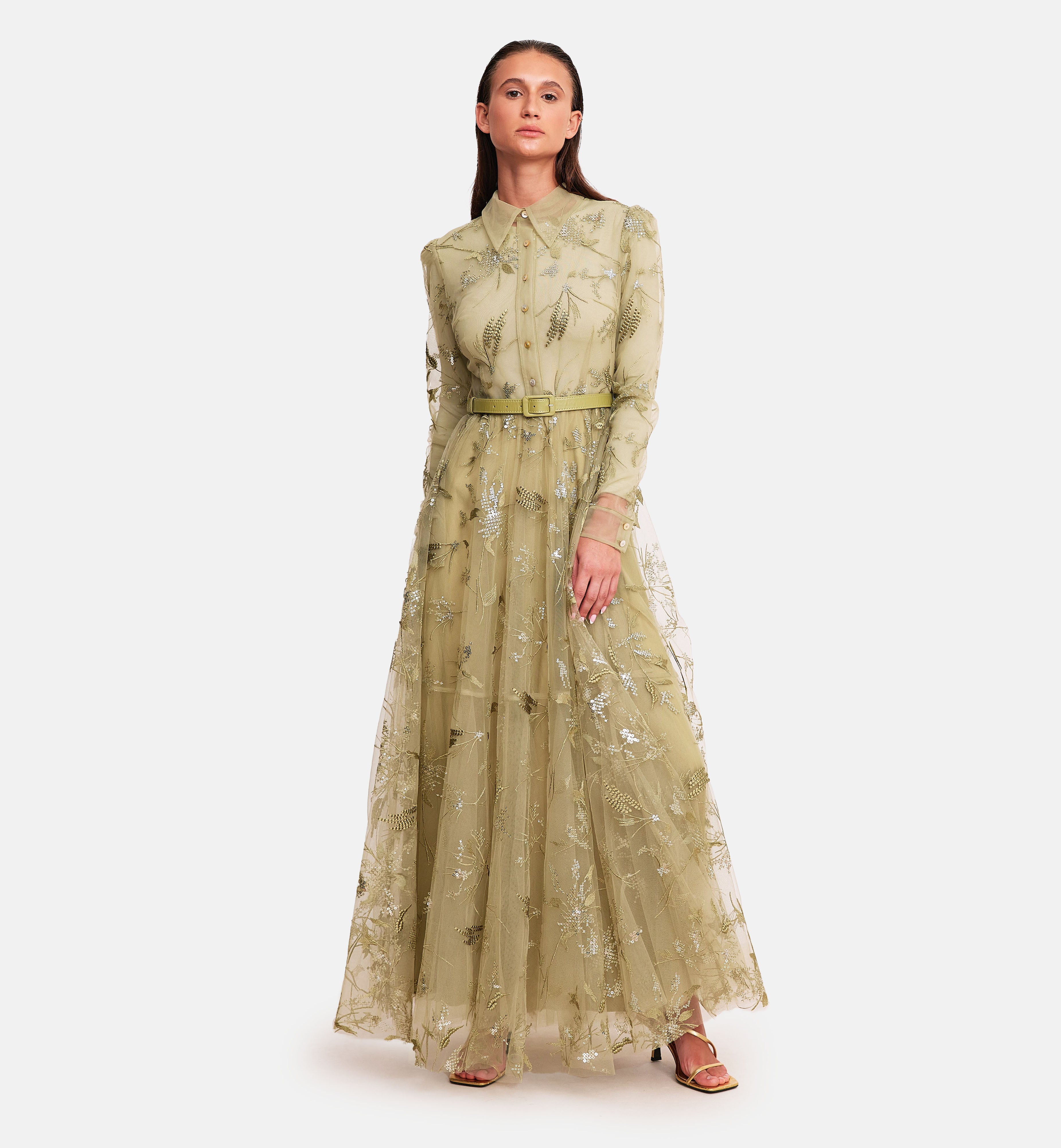 Bold Embroidery and Sequins on Mesh Midi Dress in Green