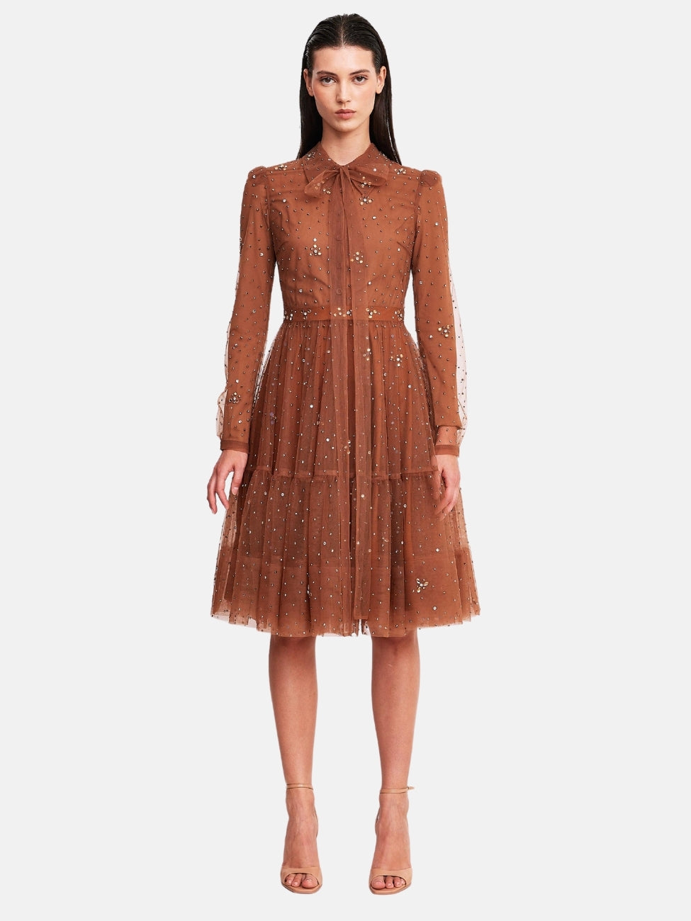 Diamonds on Mesh Collared Dress in Brown