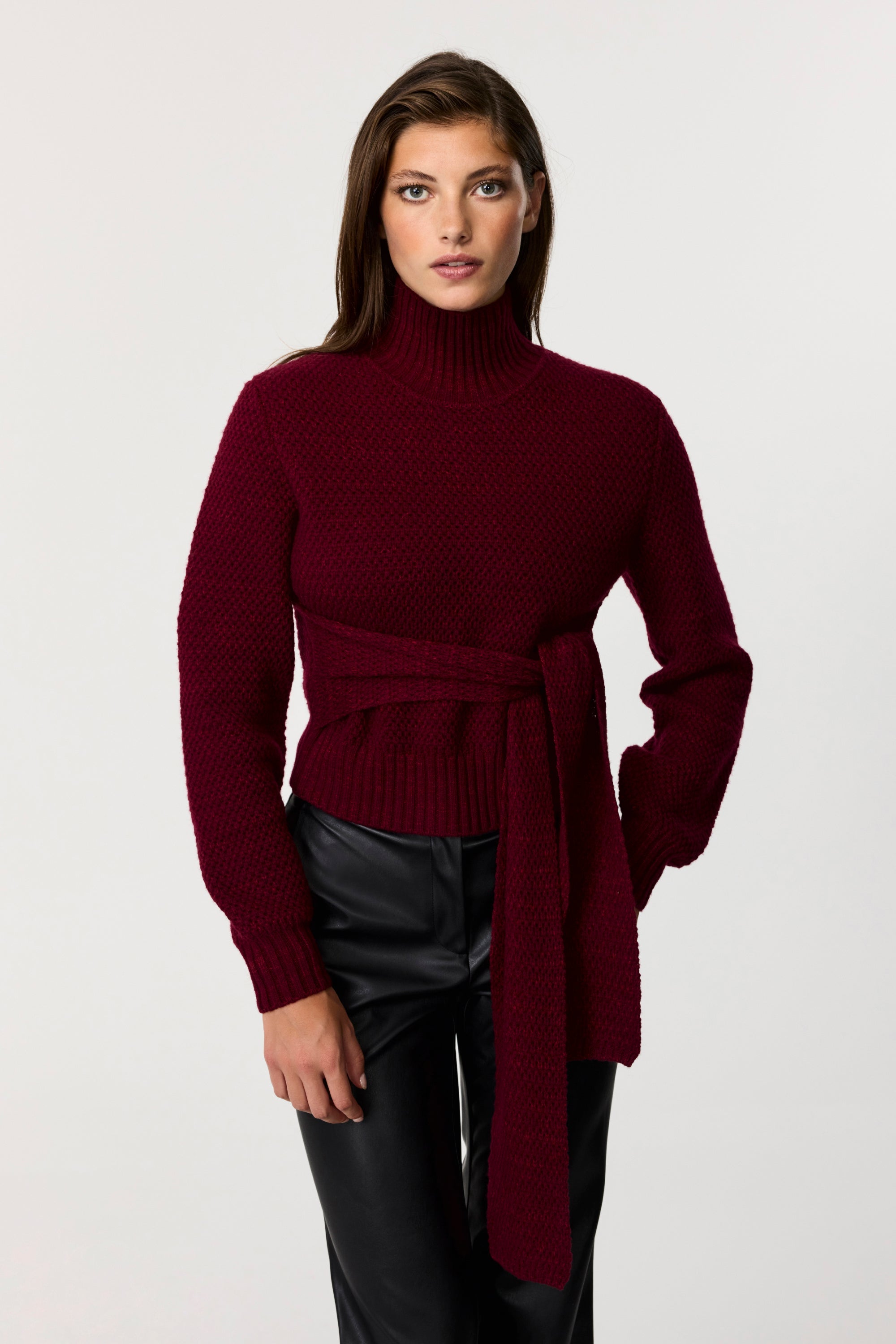 Aspen Long Sleeve Tie Front Pullover Sweater